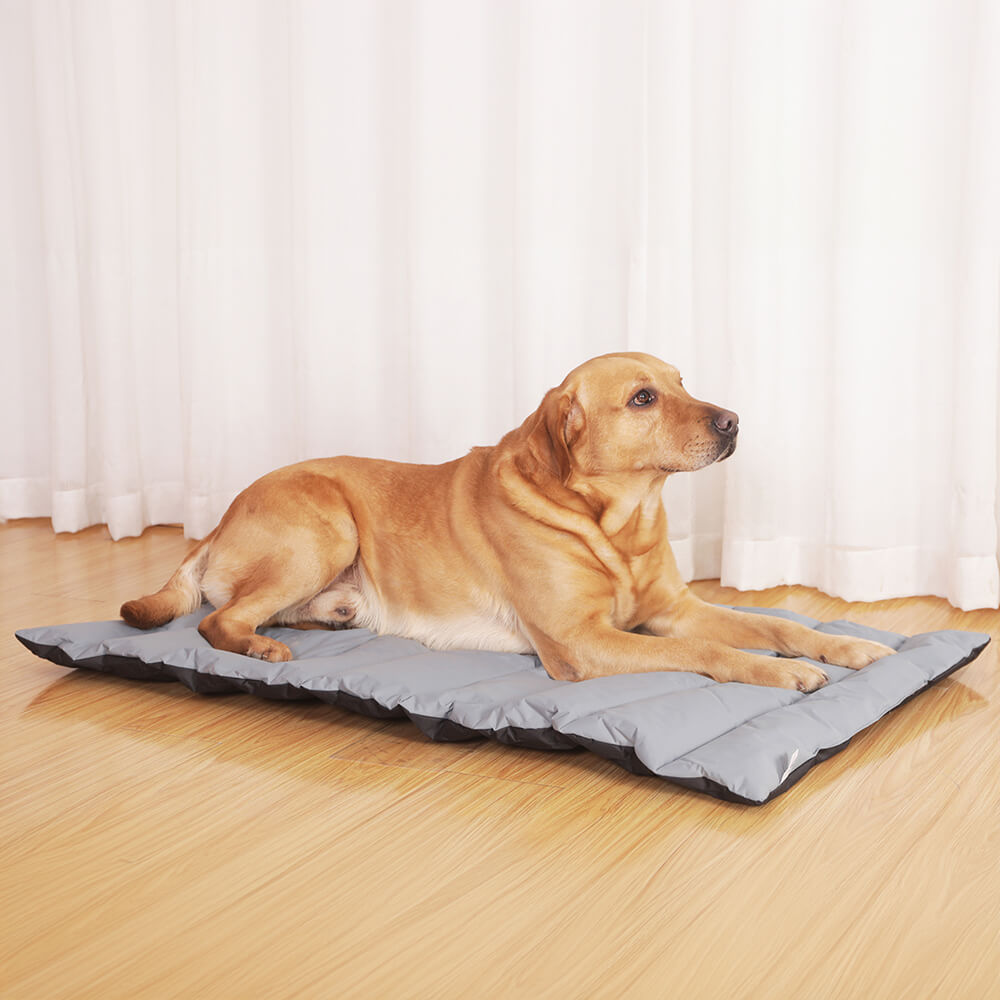 Outdoor Dog Beds Durable Waterproof for Any Adventure FunnyFuzzy