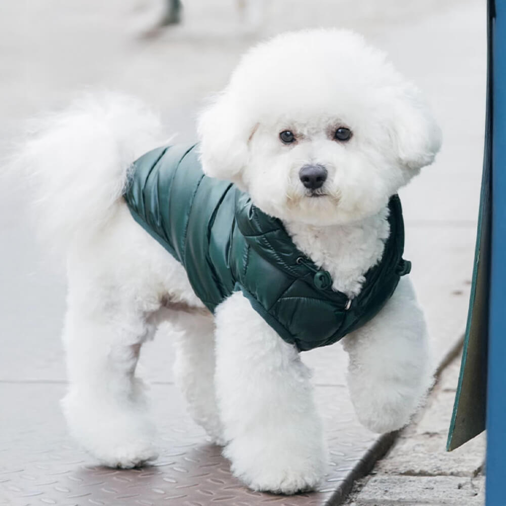 Trendy Lightweight Warm Dog Hooded Vest with D-Ring Leash