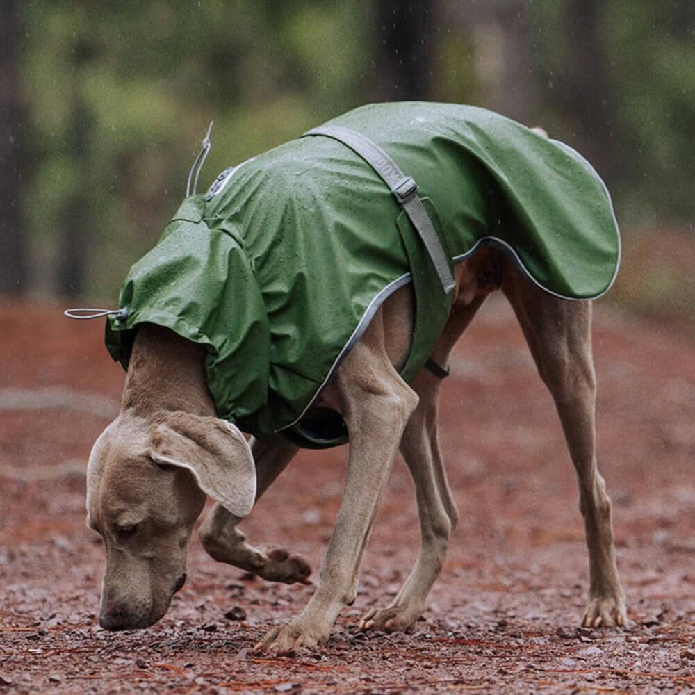 Adjustable Turtleneck Reflective Jacket Dog Human Matching Raincoat