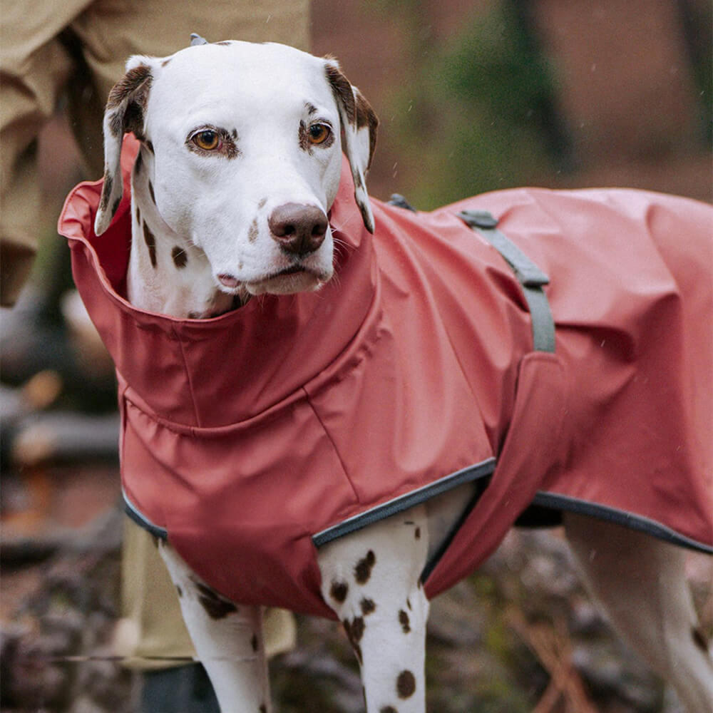 Waterproof Turtleneck Adjustable Reflective Jacket Outdoor Raincoat For Dog And Owner