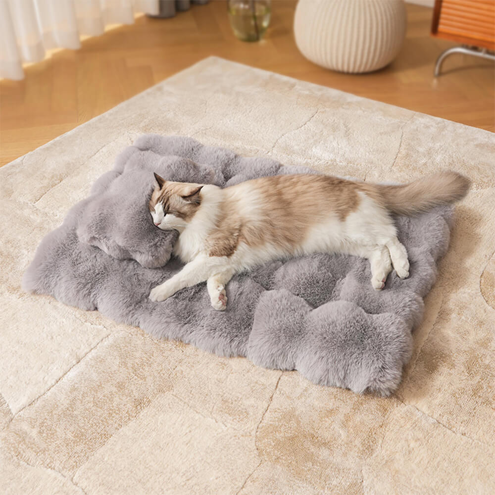 Wave Pattern Ultra Soft Faux Rabbit Fur Dog & Cat Mat With Pet Pillow ...
