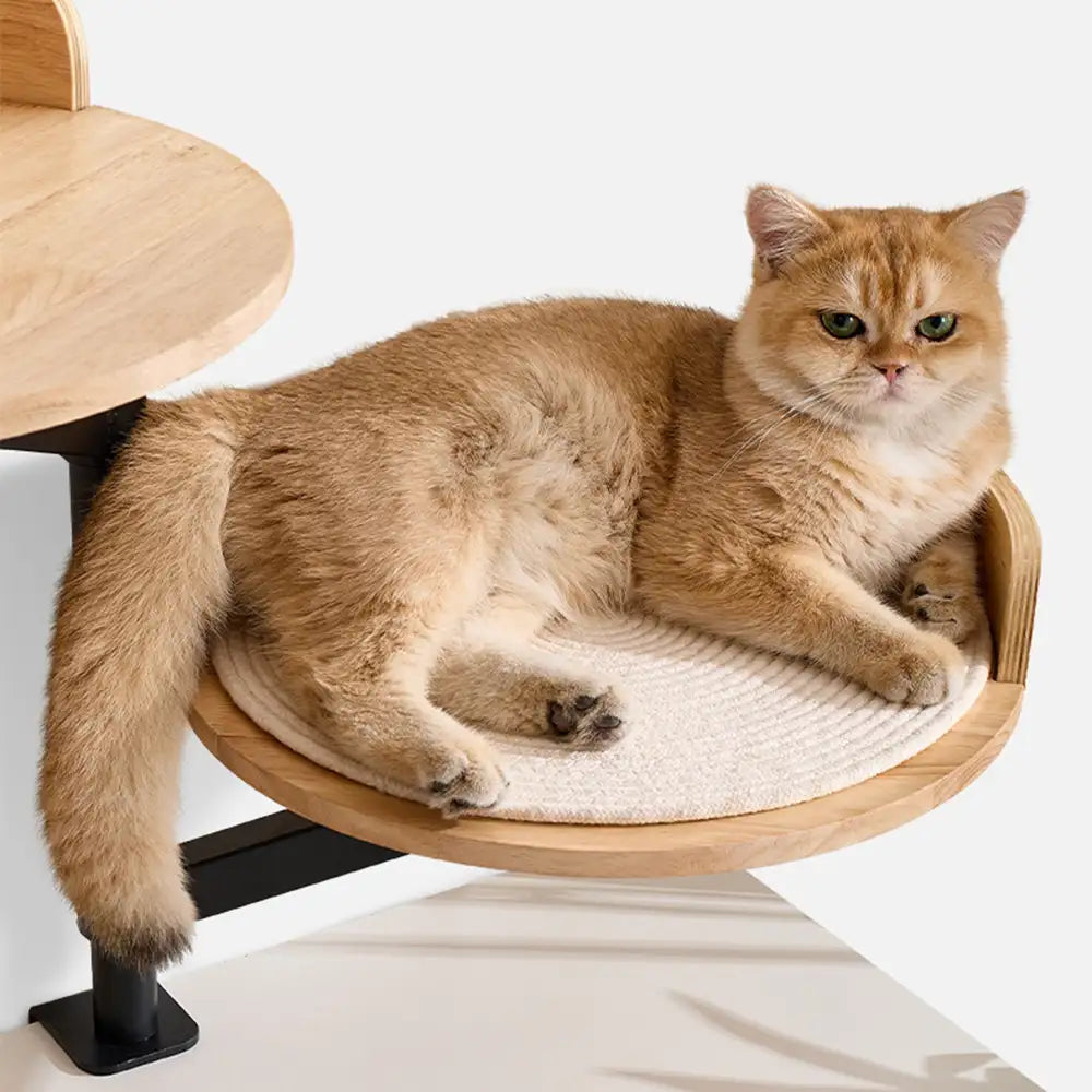 Wooden Adjustable Up and Down Elevated Habitat Cat Desk Bed
