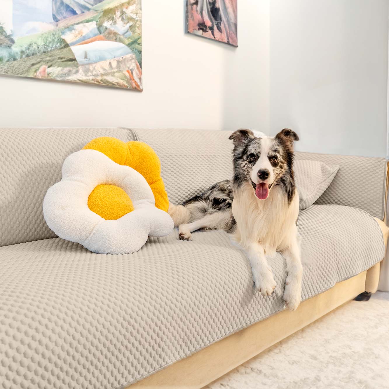 Anti dog hot sale couch cover