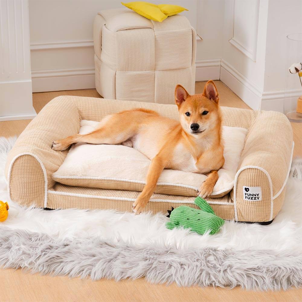 Dog futon best sale