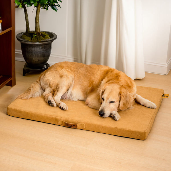 Cama de soporte de espuma ortopédica portátil Cama para perros