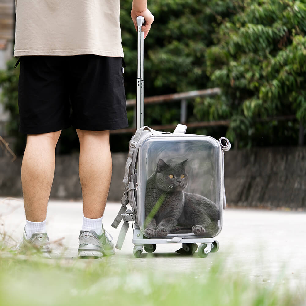 Extra Large Pet Trolley Bag Breathable Transparent Mesh