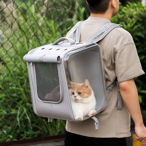 Dual Purpose Pet Trolley Case Carrier Cats Transparenter Rucksack mit  Silent Wheel-FunnyFuzzy