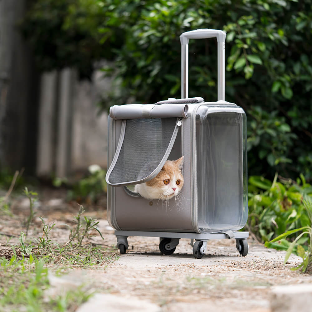 Sac à dos transparent pour chats avec chariot à double usage pour animaux de compagnie avec roue silencieuse
