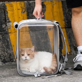 Sac à dos transparent pour chats avec chariot à double usage pour animaux de compagnie avec roue silencieuse