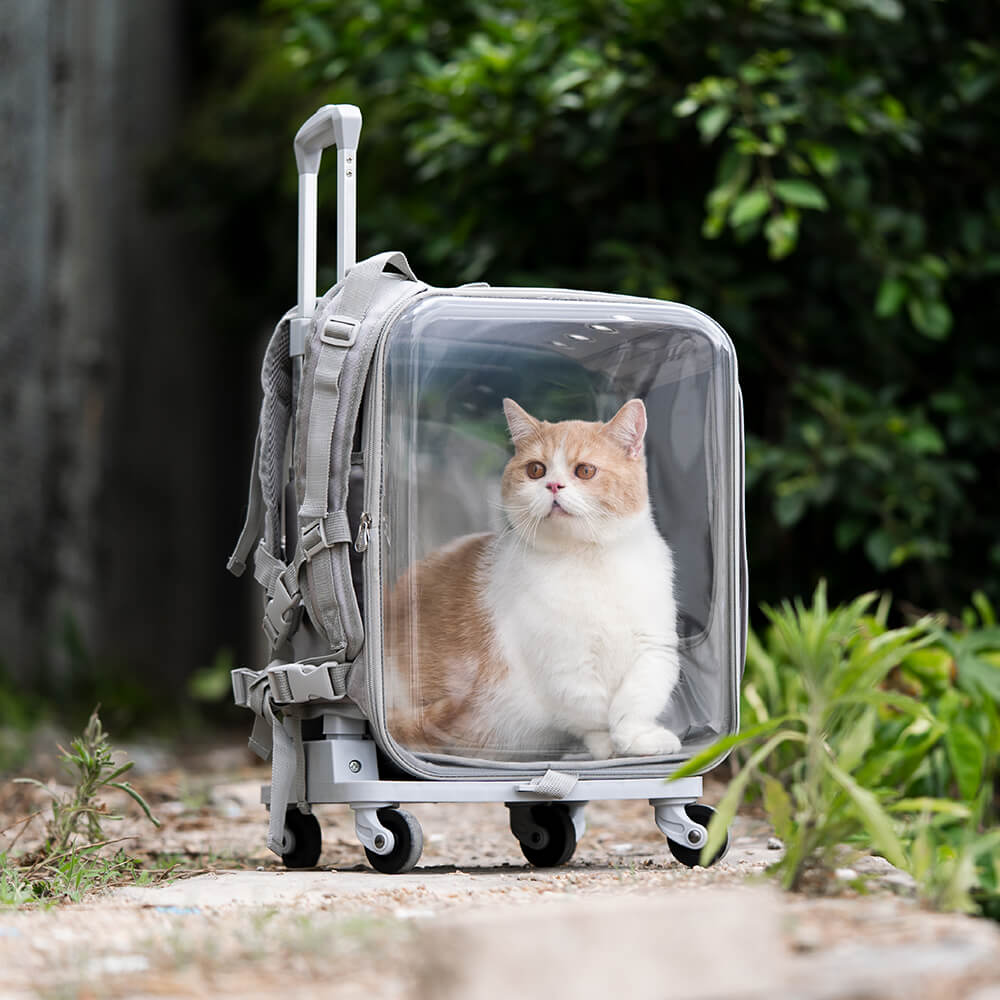 Cat Dog Bag Pet Trolley Case Portable Breathable Pet Carrier Bag with  Removable Wheels Travel - China Pet Bag and Pet Carrier price