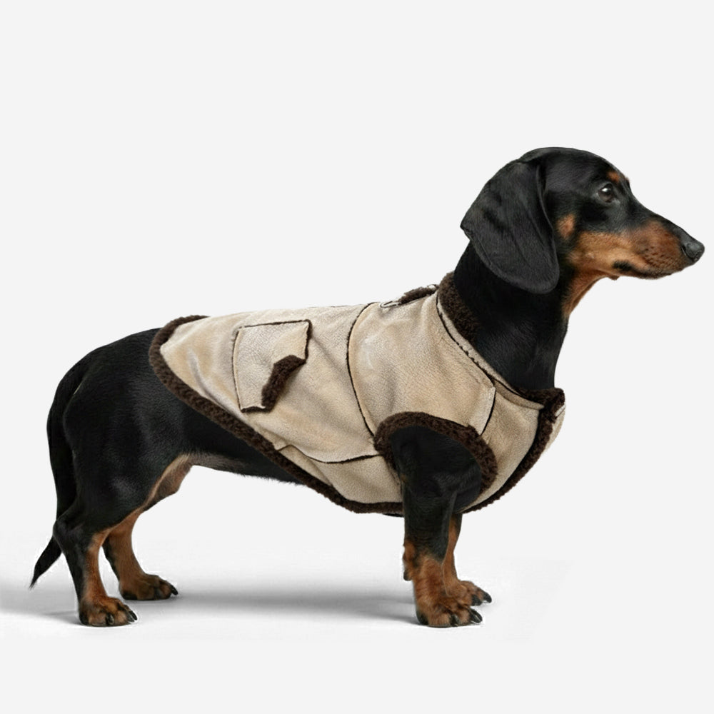 Retro Suede Dachshund Dog Vest - FUNNYFUZZY