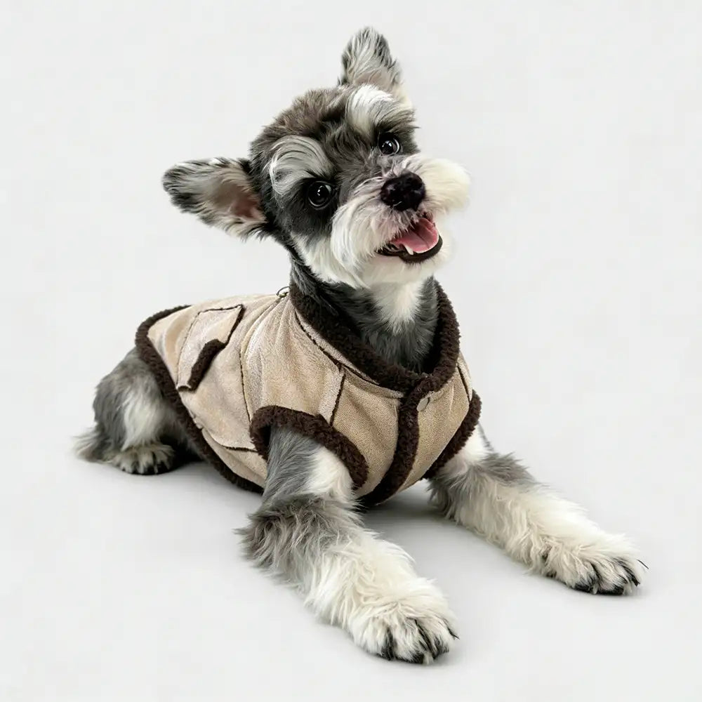 Retro Suede Dog Vest For Small Dogs