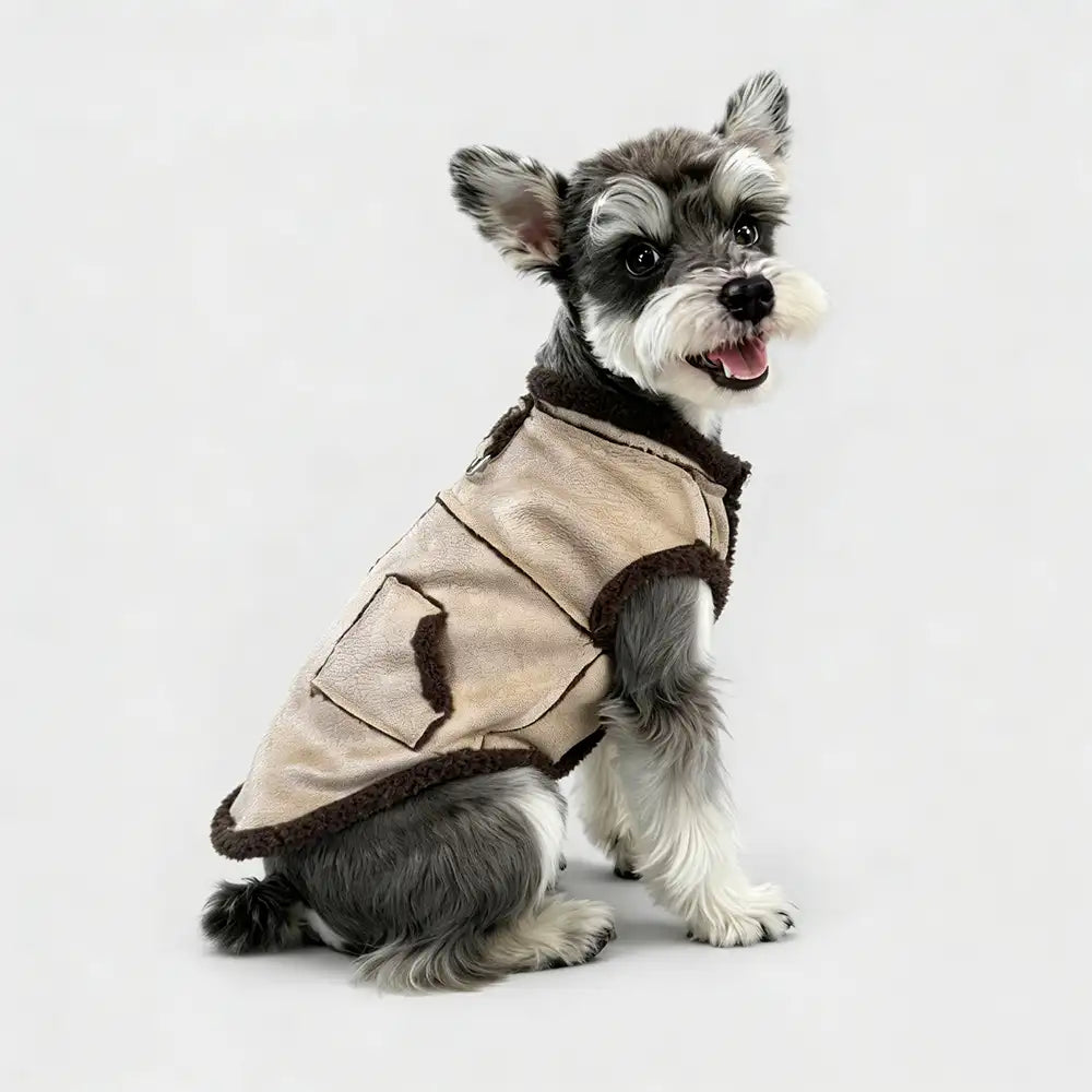 Retro Suede Dog Vest For Small Dogs