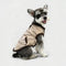 Retro Suede Dog Vest For Small Dogs