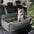 Travel Bolster Full Durable Washable Dog Car Back Seat Bed - FUNNYFUZZY