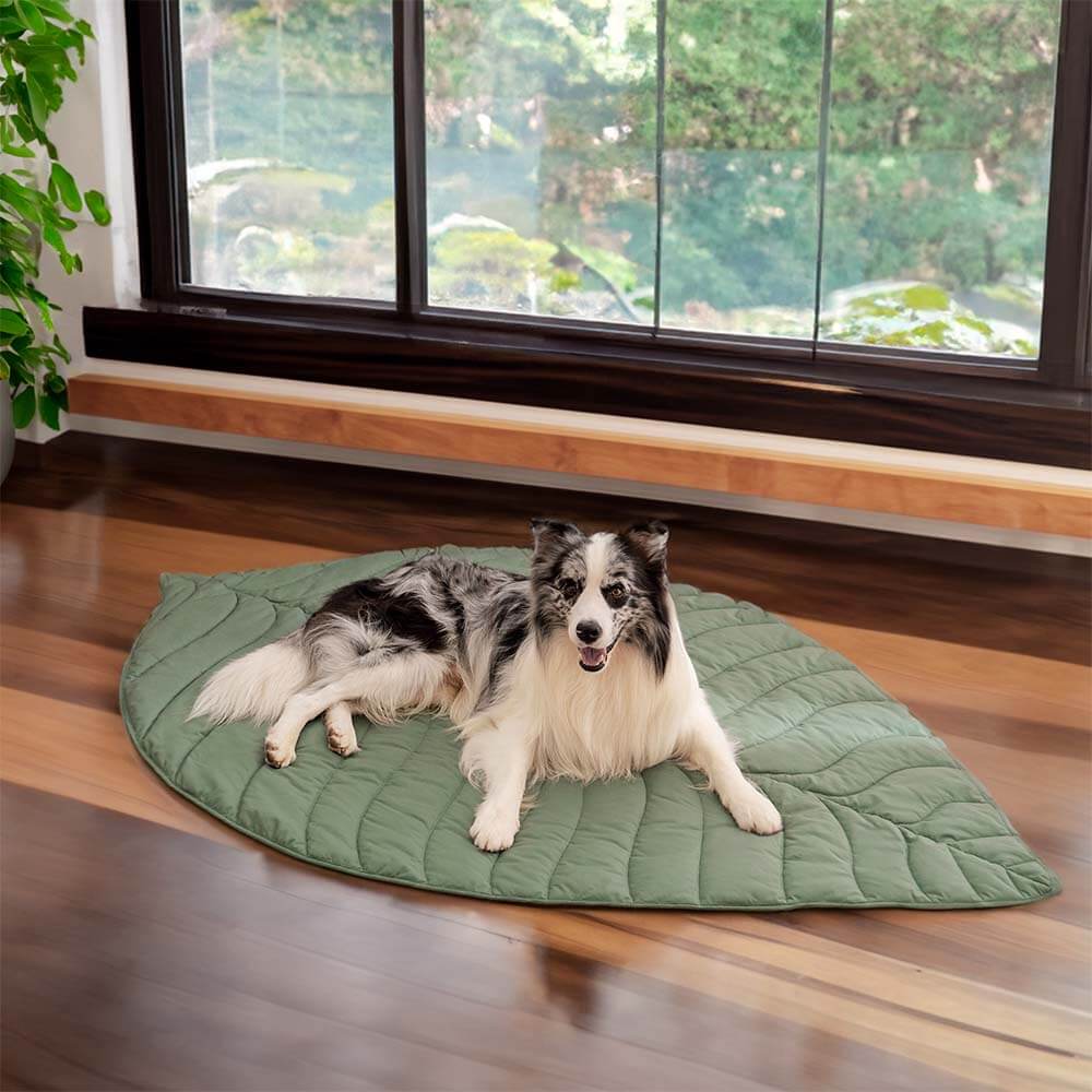 Super Large Leaf Shape Human Mat Dog Blanket