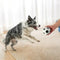 Funny High Elasticity Floating Football Dog Toy