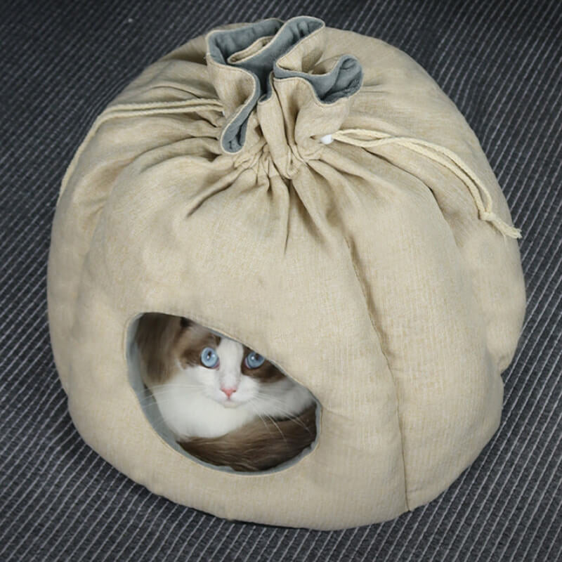 Funny Money Bag Enclosed Cat Bed Tent Cave