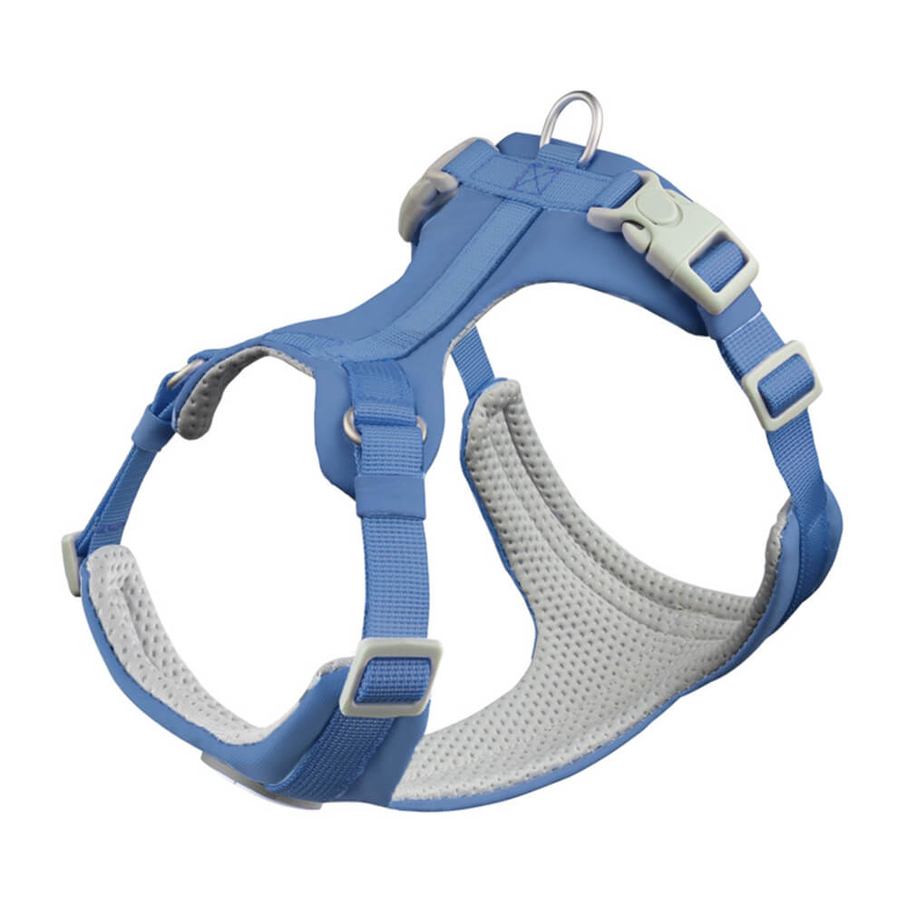 Complete Control Comfortable No-Pull Dog Harness and Leash Kit