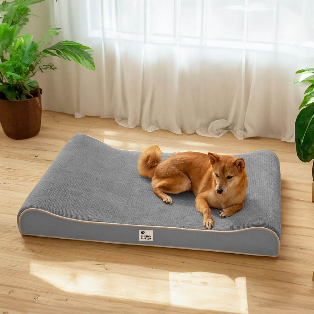 Luxuosa espreguiçadeira para cães nobreza cama ortopédica para cães