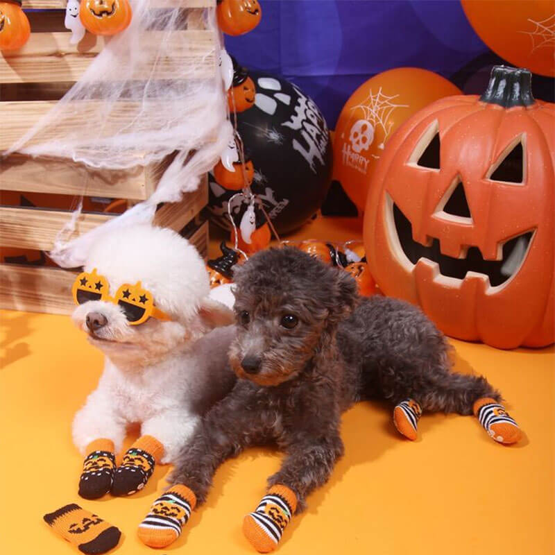 Halloween-Dekoration, modische Kürbis-Hundebrille