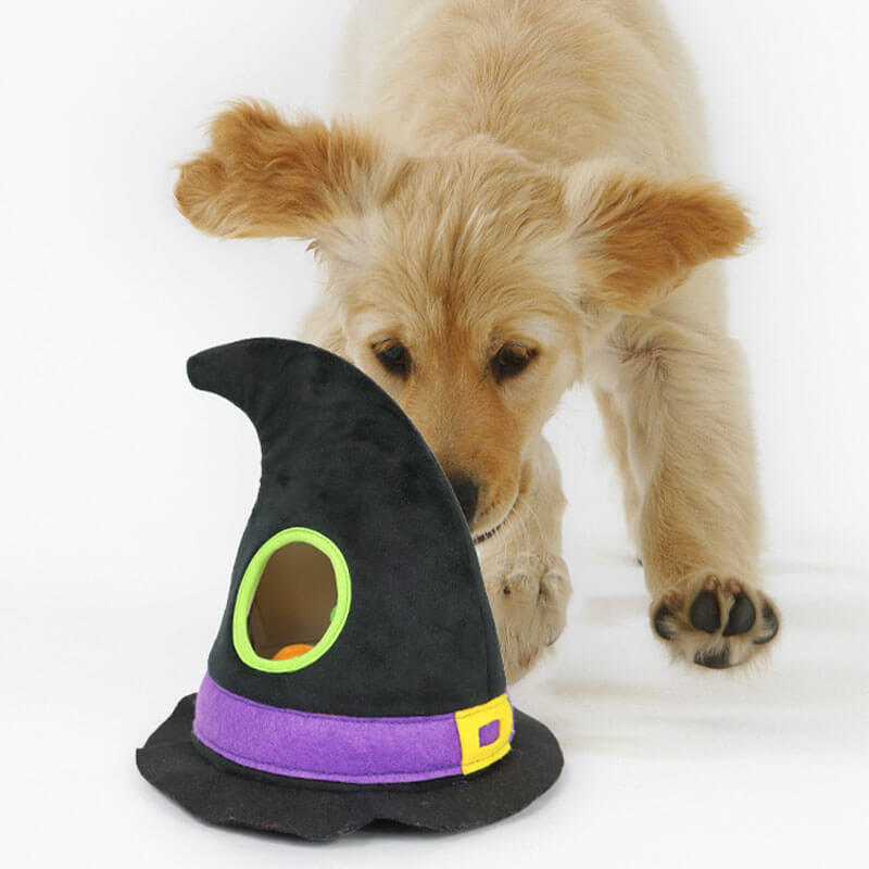 Chapeau de sorcière d'Halloween, citrouille grinçante, yeux de chat noir, chien, ensemble de quatre pièces, jouets