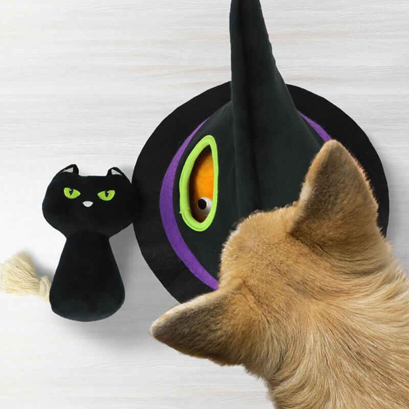 Chapeau de sorcière d'Halloween, citrouille grinçante, yeux de chat noir, chien, ensemble de quatre pièces, jouets