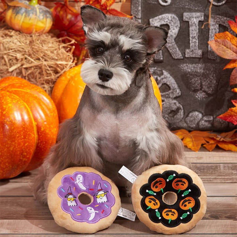 Halloween-Donut-Plüsch-Hundespielzeug