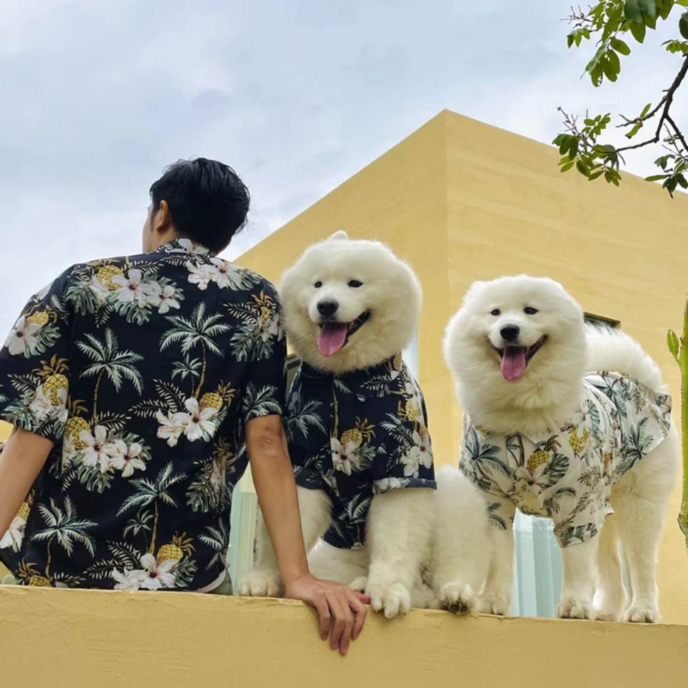 Camisa havaiana combinando para roupas de cachorro e proprietário