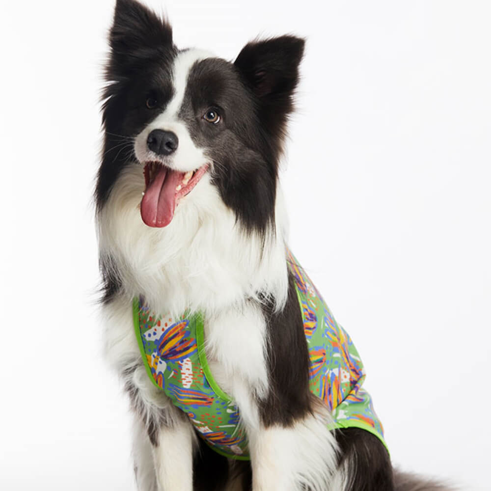 Roupas para animais de estimação estilo havaiano colete para cachorro