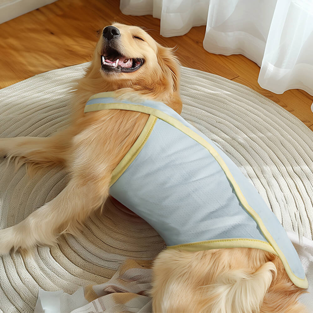 Vêtements pour chiens refroidissants en soie glacée, gilet de Protection contre les coups de soleil pour chiens