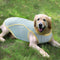 Ice Silk Cooling Dog Clothes