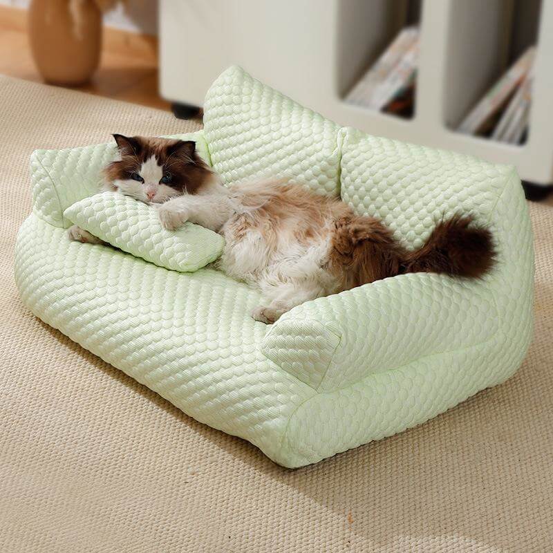 Washable Pet Bed 2024