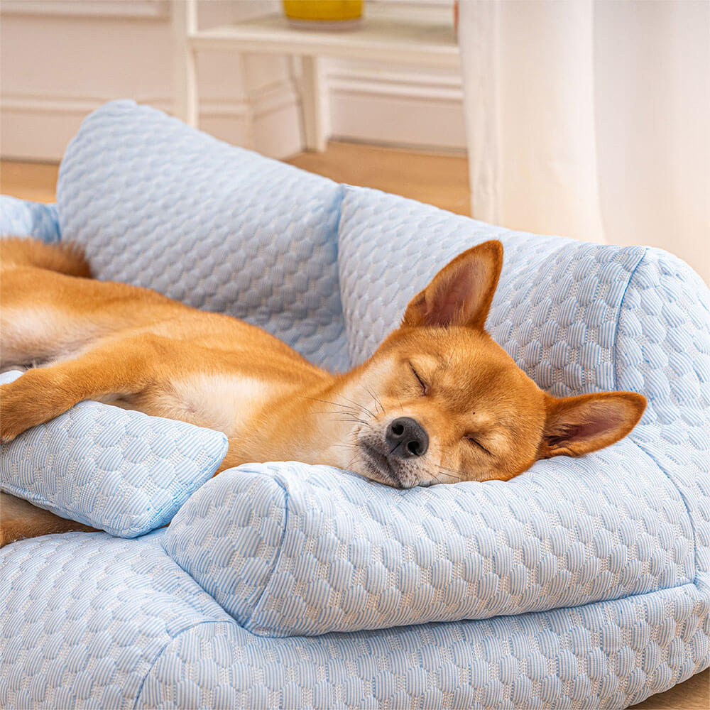 Lit pour animaux de compagnie rafraîchissant en soie glacée, canapé-lit respirant et lavable pour chien