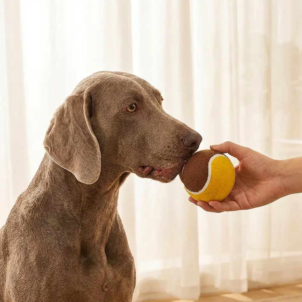 Interactive Tennis Ball Dog Toy