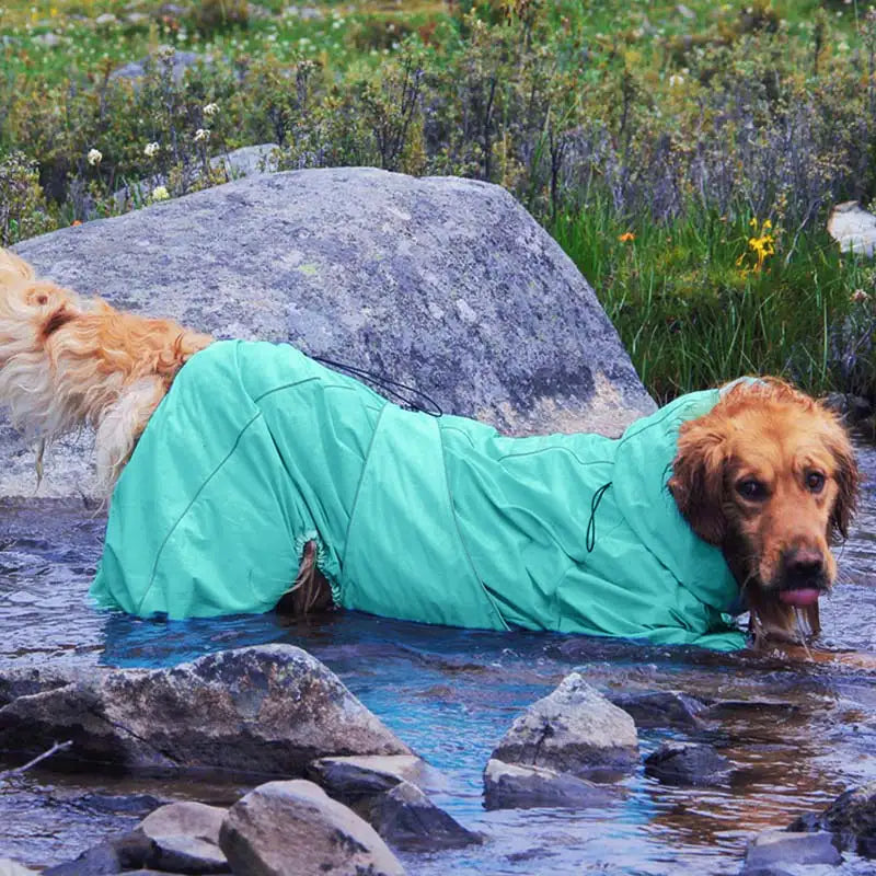 Gran chaqueta para perros al aire libre capa impermeable para perros ajustables para perros