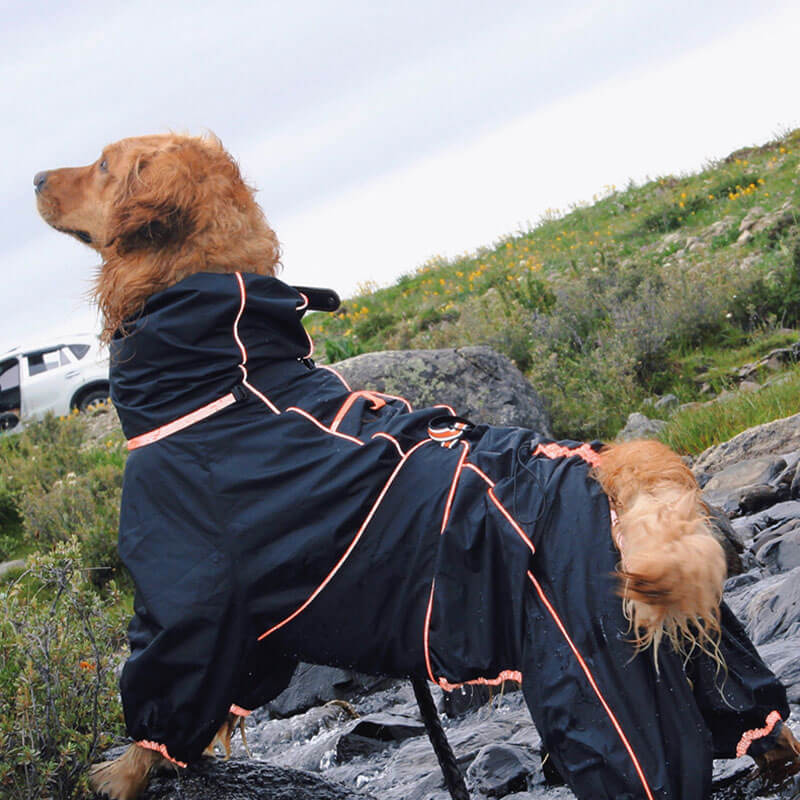Veste d'extérieur pour grand chien, manteau de pluie imperméable et réglable pour chien