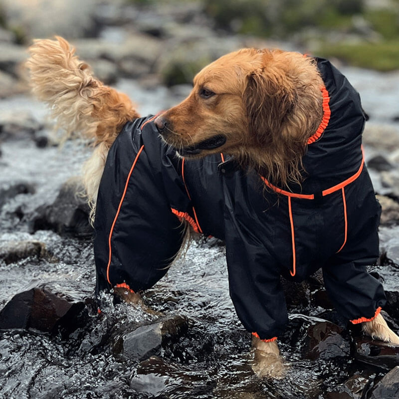 Jaqueta grande para cachorro ao ar livre Capa de chuva ajustável à prova d'água para cachorro
