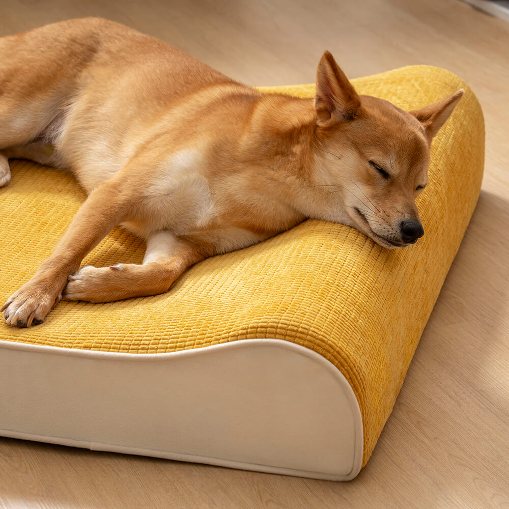 Orthopedic contoured pet bed lounger best sale