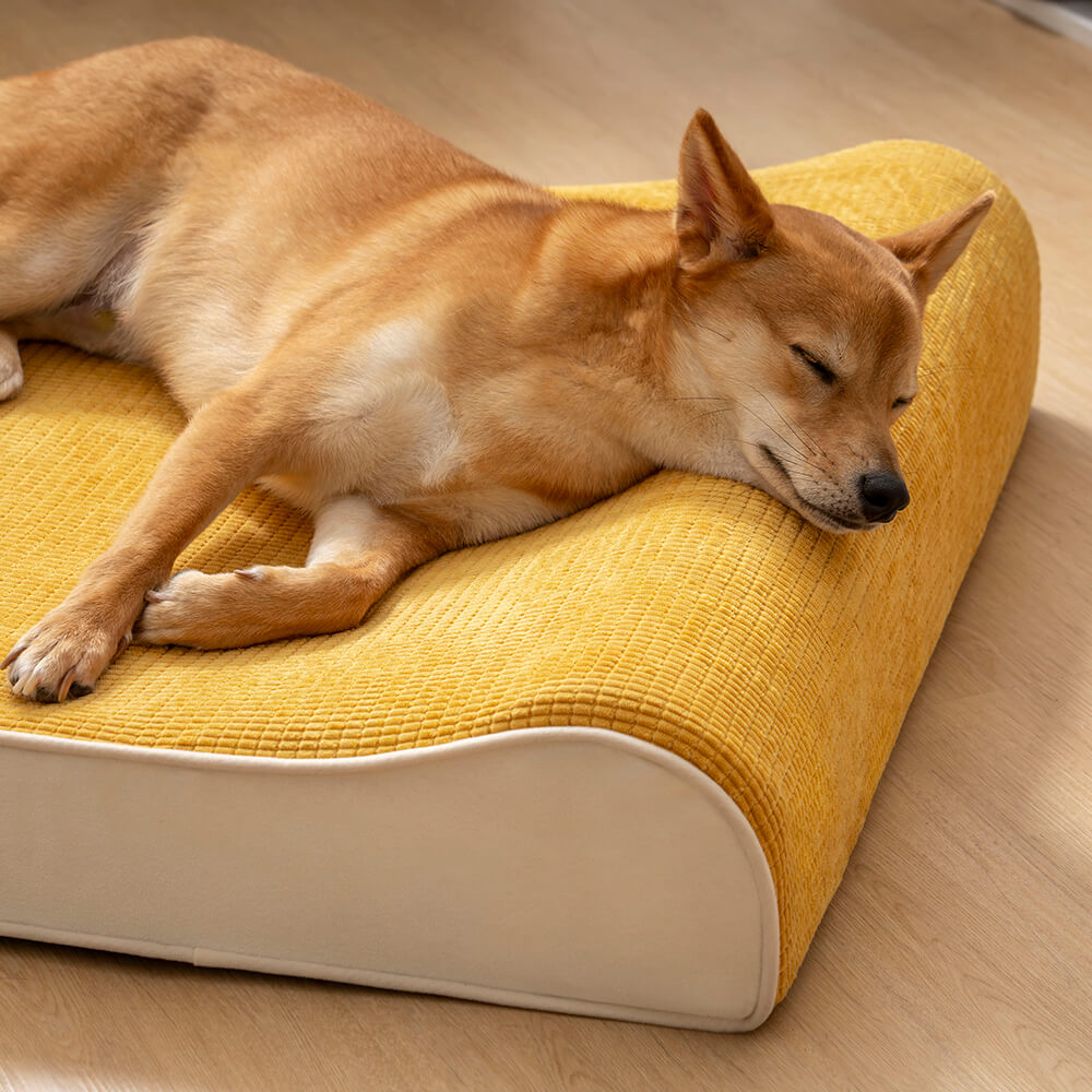 Luxuriöser Nobility Dog Lounge Chair, orthopädisches Hundebett