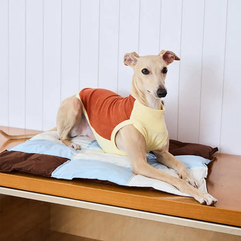 Macaron Color Water-Repellent Multi-Purpose Dog Mat