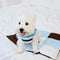 Macaron Color Water-Repellent Multi-Purpose Dog Mat