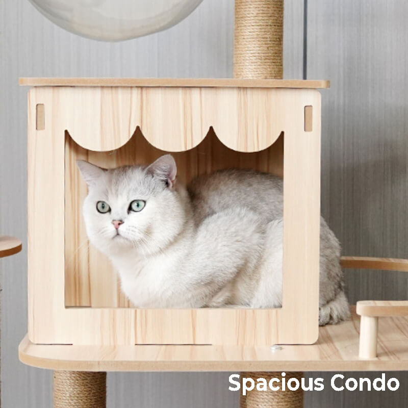 Multi-Level Fun Modern Wooden Cat Tree Tower with Condo and Space Capsule