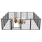 Multifunctional Rust-Proof Metal Pet Fence with Tall Garden Gate