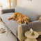 One-Piece Soft Pet-Friendly Short Plush Sofa Protection Non-Slip Couch Cover