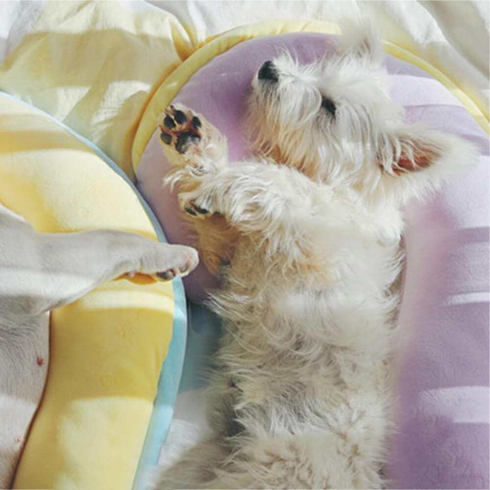 Orthopedic Spine-Support Pillow Dog Sleep Pillow