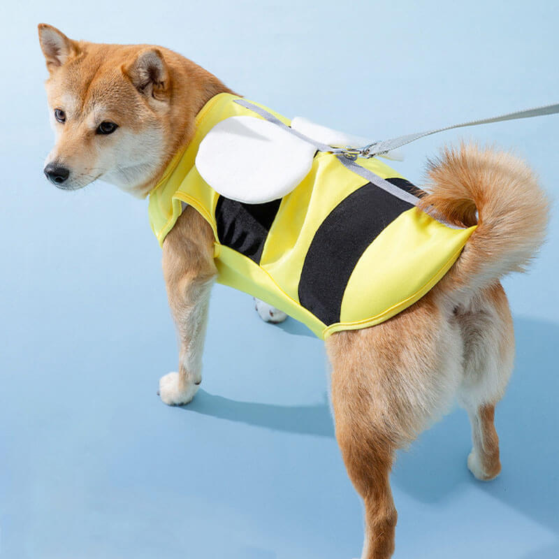 Outdoor-Sport Haustier Sonnenschutz Kleidung Coole Hundezubehör Kühlweste