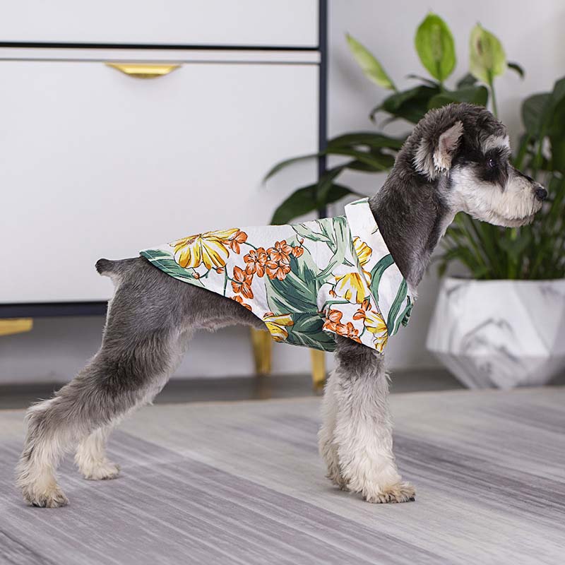 Camisa havaiana combinando para roupas de cachorro e proprietário