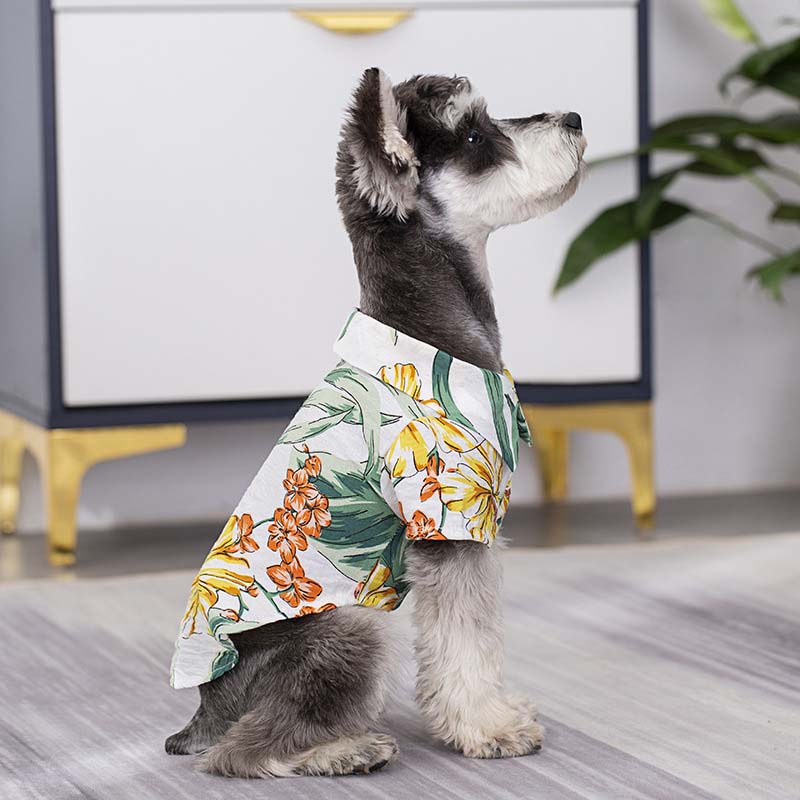 Camisa havaiana combinando para roupas de cachorro e proprietário