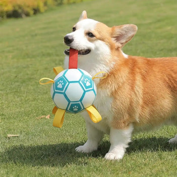 Paw Print Soccer Ball Dog Chew Toy With Straps